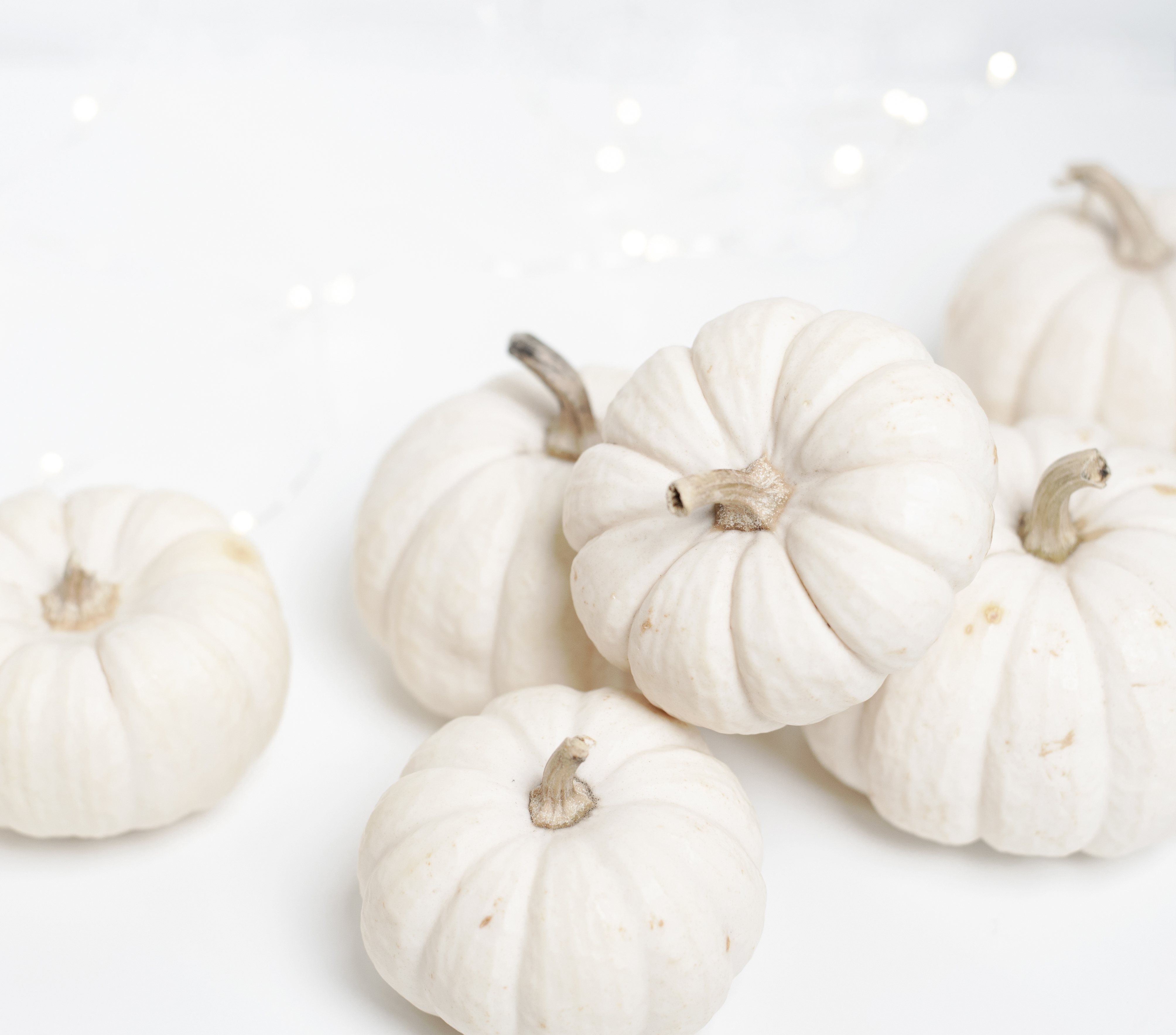 How to Survive Your First Thanksgiving Dinner as the Host