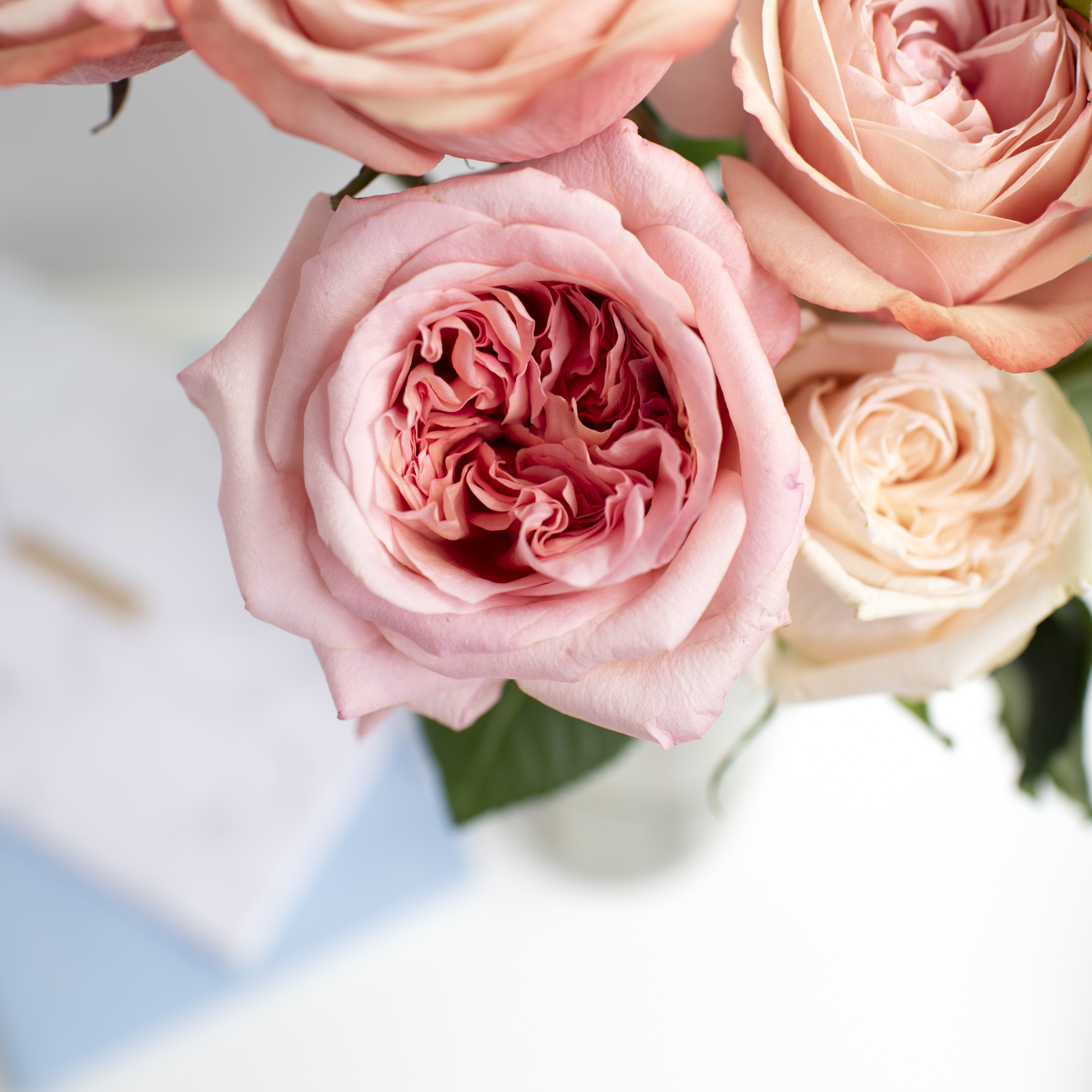 9 Essential Questions to Ask Before Booking a Wedding Venue