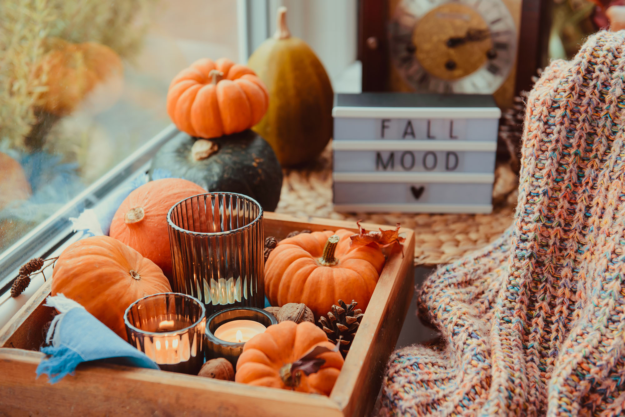 5 Easy and Affordable Fall Décor Tips