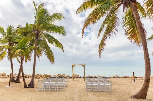 Beach wedding ceremony setup under palm trees in the Florida Keys. Change your name with HitchSwitch