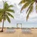 Beach wedding ceremony setup under palm trees in the Florida Keys. Change your name with HitchSwitch